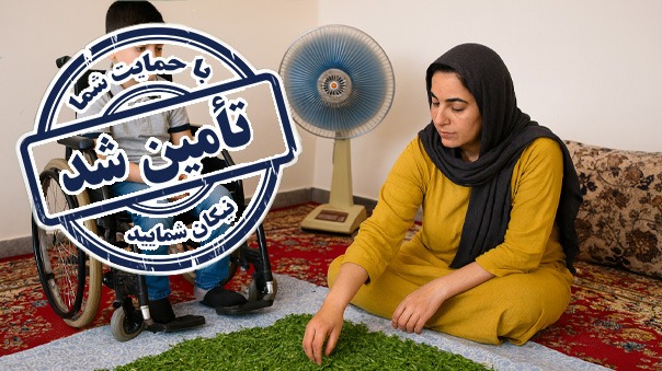 پایان فراخوان کمک به اشتغالزایی سمیه خانم