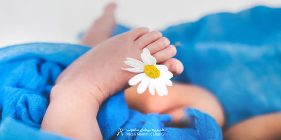 روز جهانی ماما 