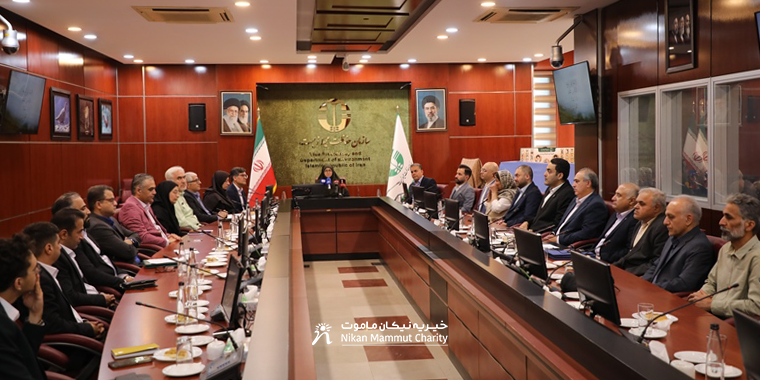 نیکان یوز آسیایی