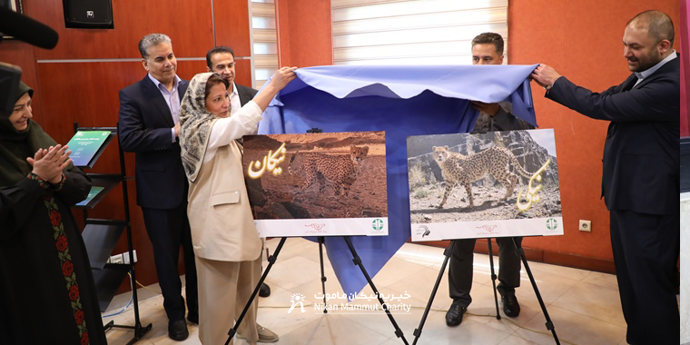 نیکان یوز آسیایی